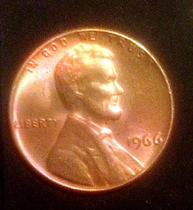 1966-C-Lincoln-Double-Nose,-Eye,-Back-Shoulder-Fat-Ear-Lobe?