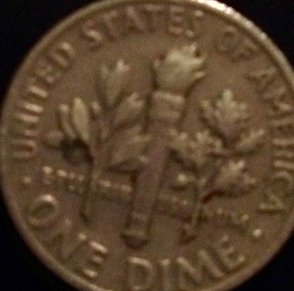 1967-Roosevelt-Dime-Extra-Leaf-On-The-Reverse?