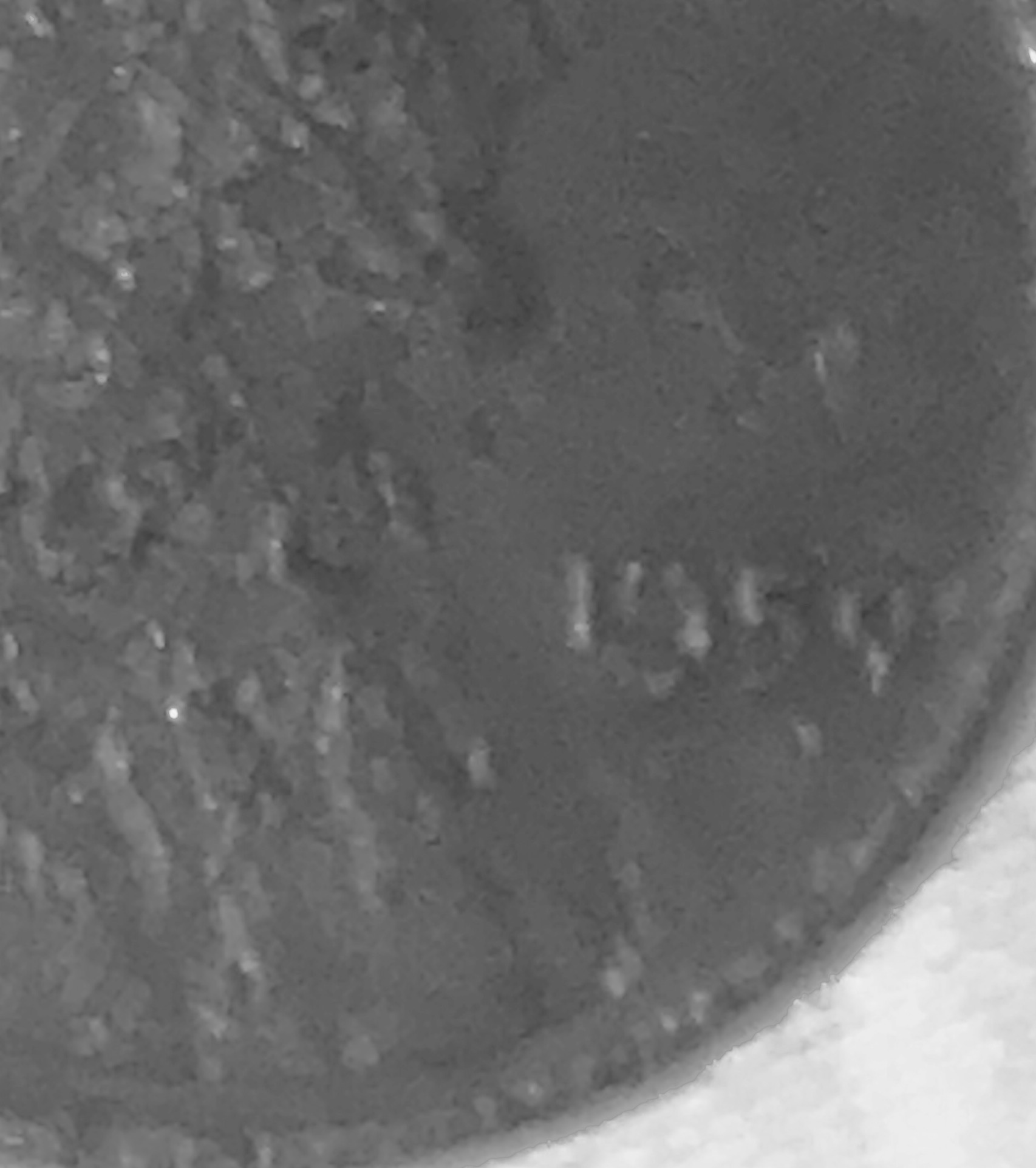 1959,-1950,-Or-1956-Wheat-Penny?-Need-Your-Opinions
