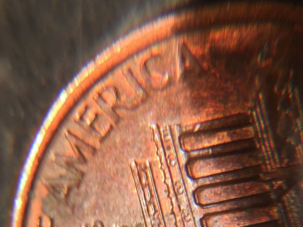 Greasy-Die?