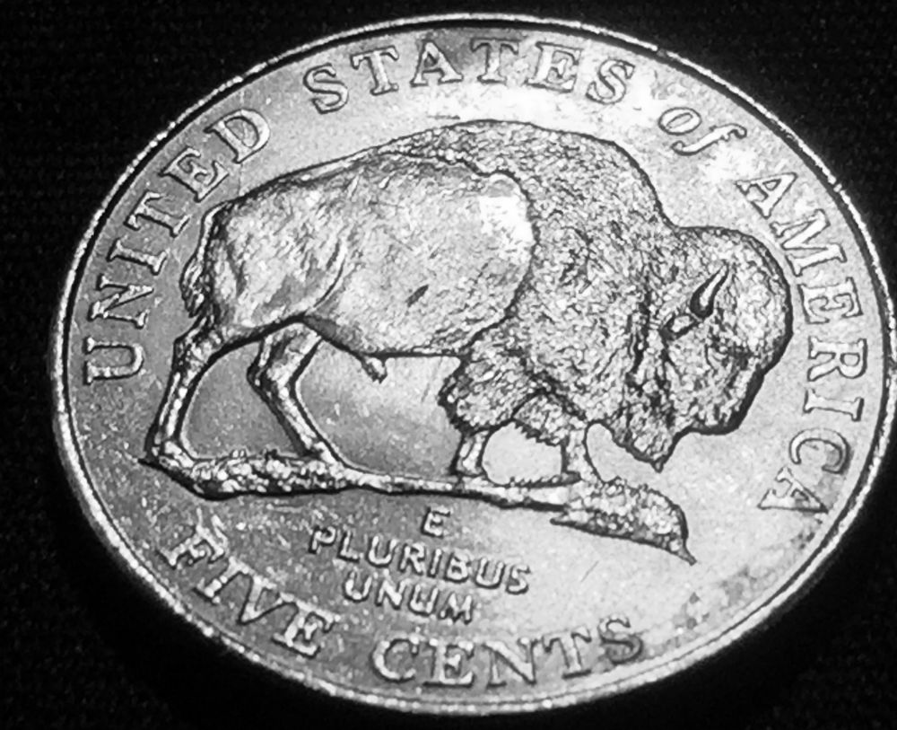 Does-This-Count-As-A-Speared-Bison-Nickel?
