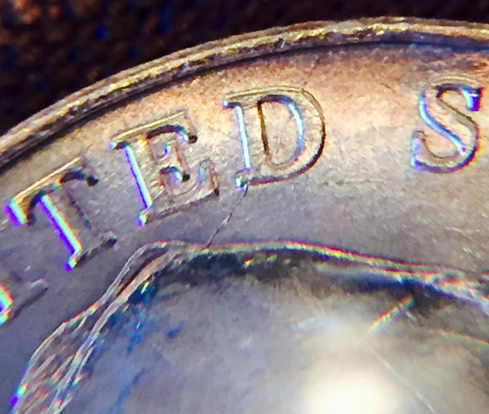Does-This-Count-As-A-Speared-Bison-Nickel?
