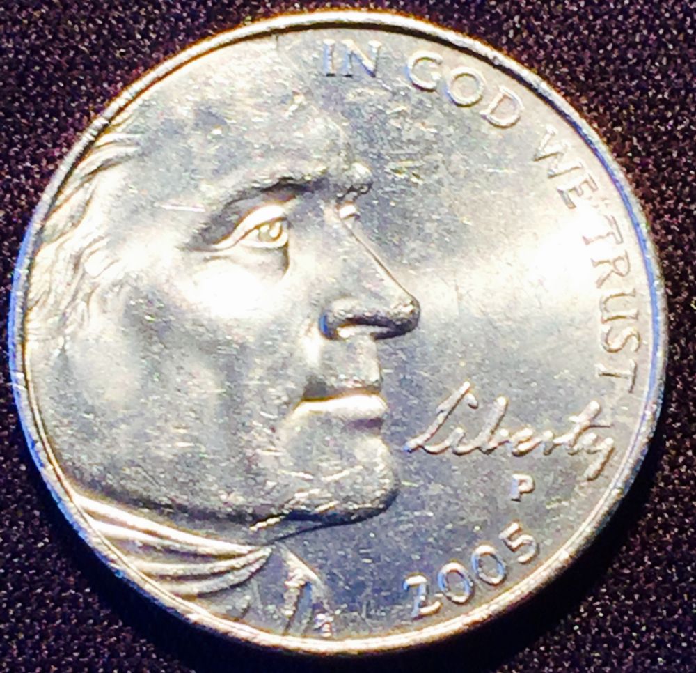 Does-This-Count-As-A-Speared-Bison-Nickel?