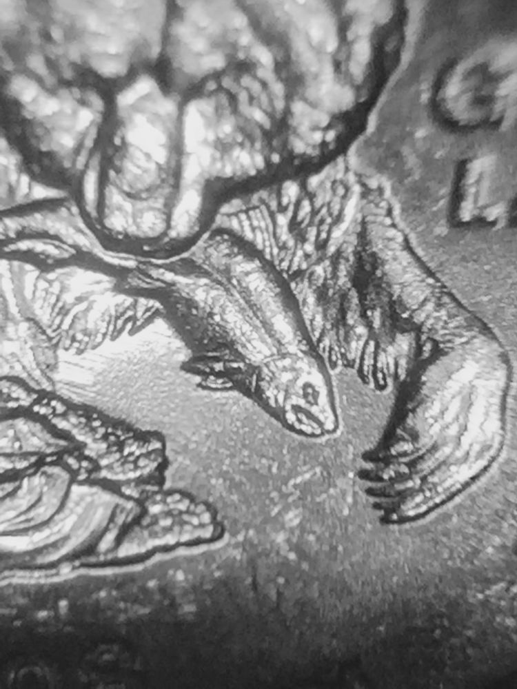 Could-It-Be?-2008-Alaska-State-Quarter-Error