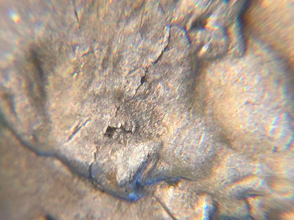 Crack-In-A-Silver-Nickel?