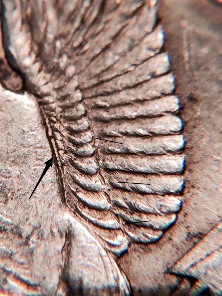 1921-Morgan-&-1935-Peace-Dollar/Crack-Die/Light-Die-Strike
