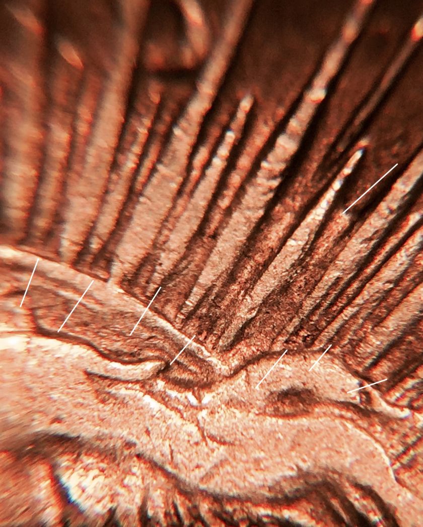 1921-Morgan-&-1935-Peace-Dollar/Crack-Die/Light-Die-Strike