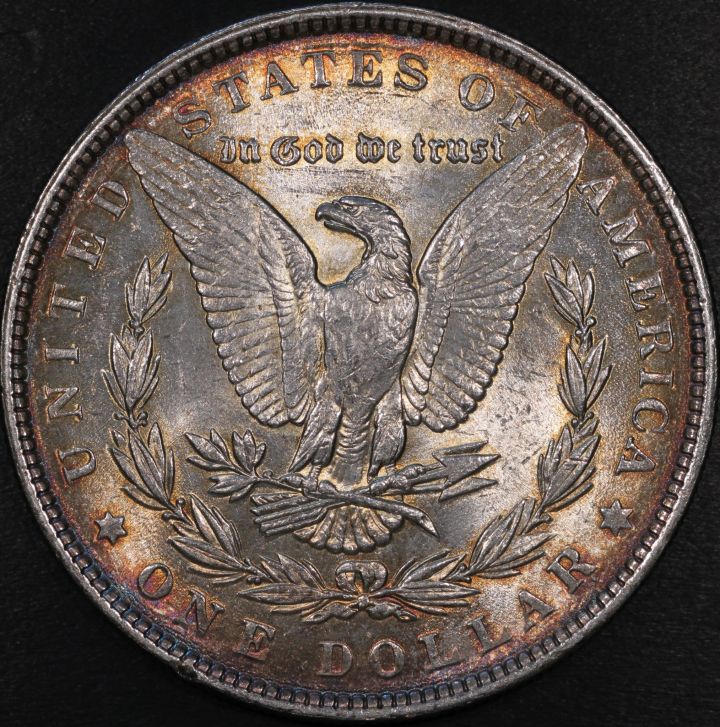 1886-Morgan-Up-For-Grading