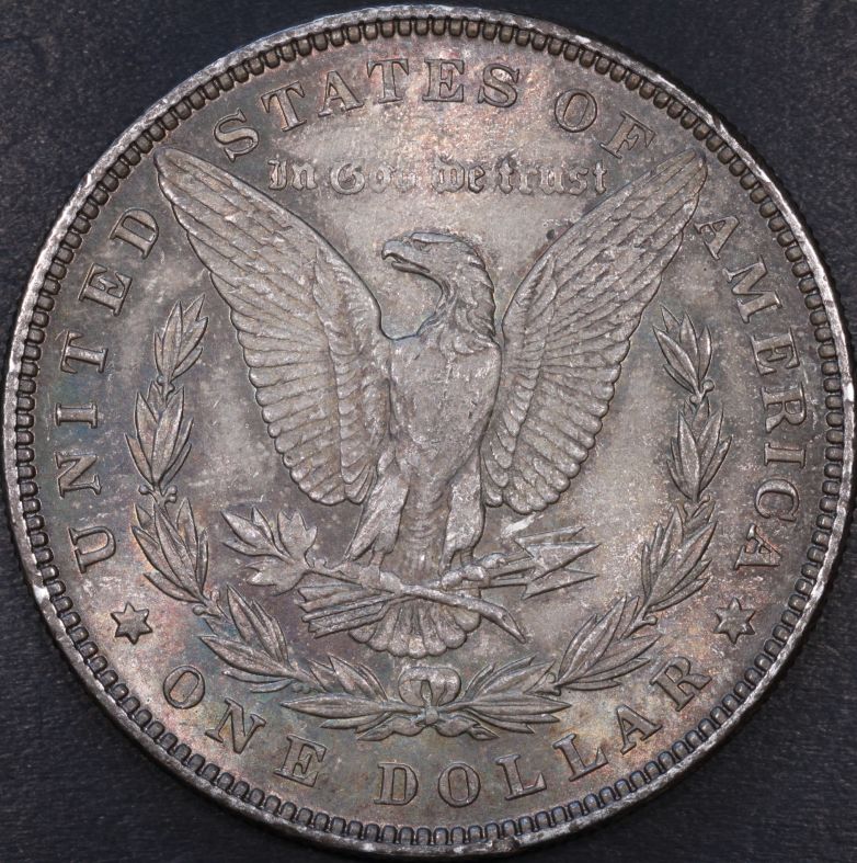 1887-Morgan-Up-For-Grading