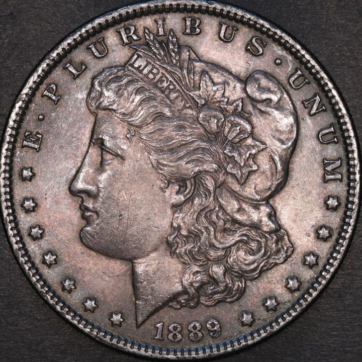 1889-Morgan-Up-For-Grading