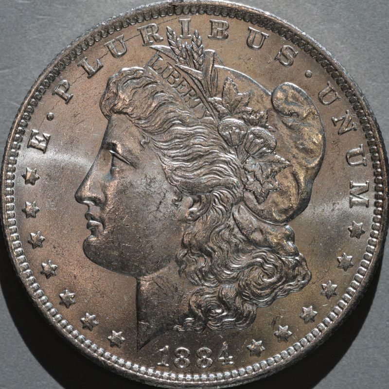 1884-O-Morgan-Up-For-Grading
