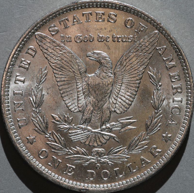 1884-O-Morgan-Up-For-Grading