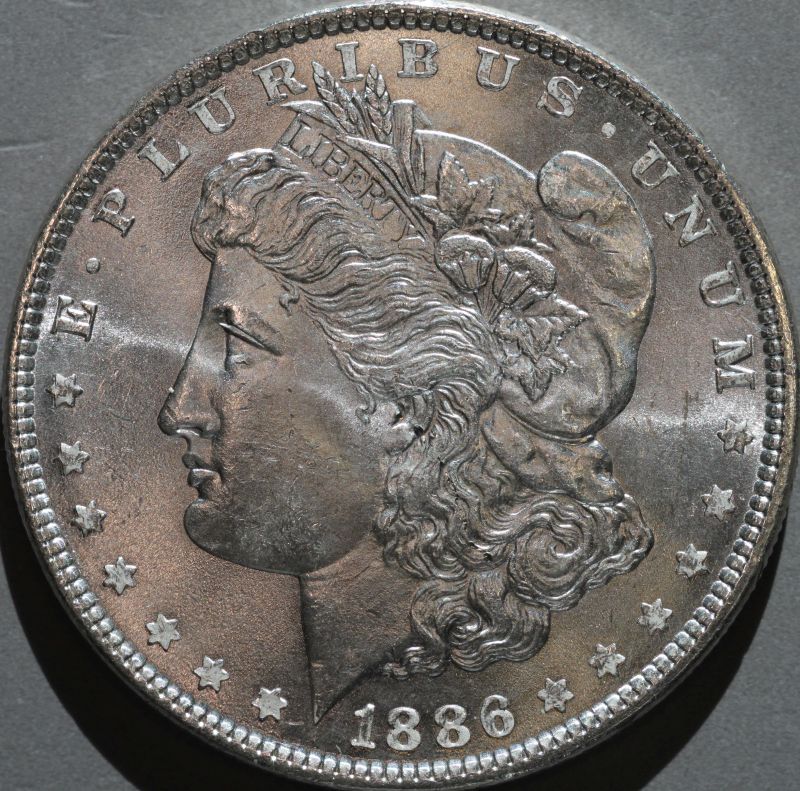 1886-Morgan-Up-For-Grading