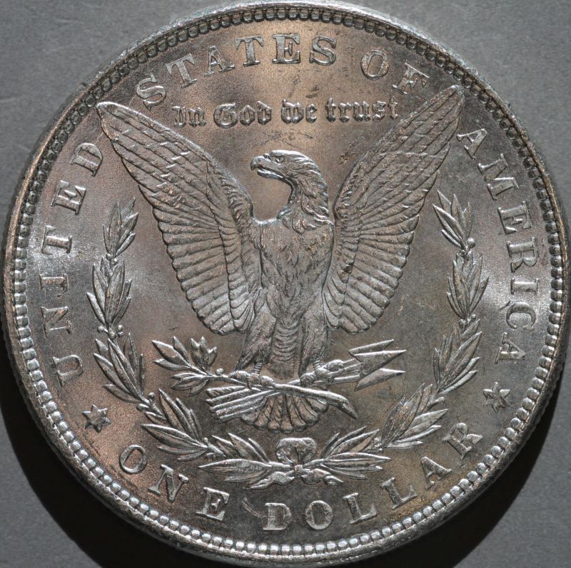 1886-Morgan-Up-For-Grading