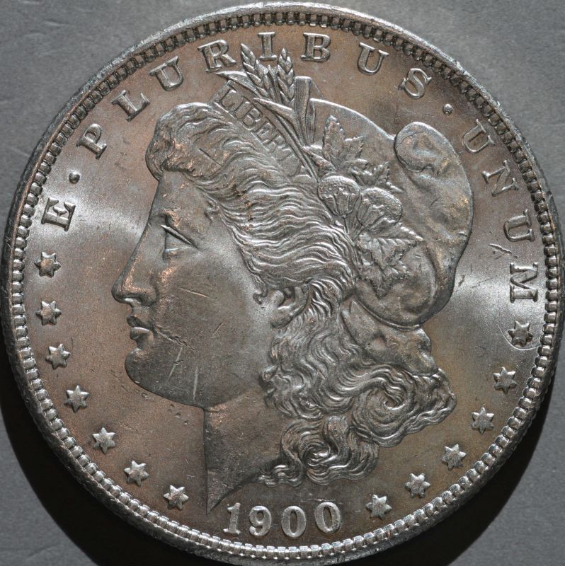 1900-Morgan-Up-For-Grading