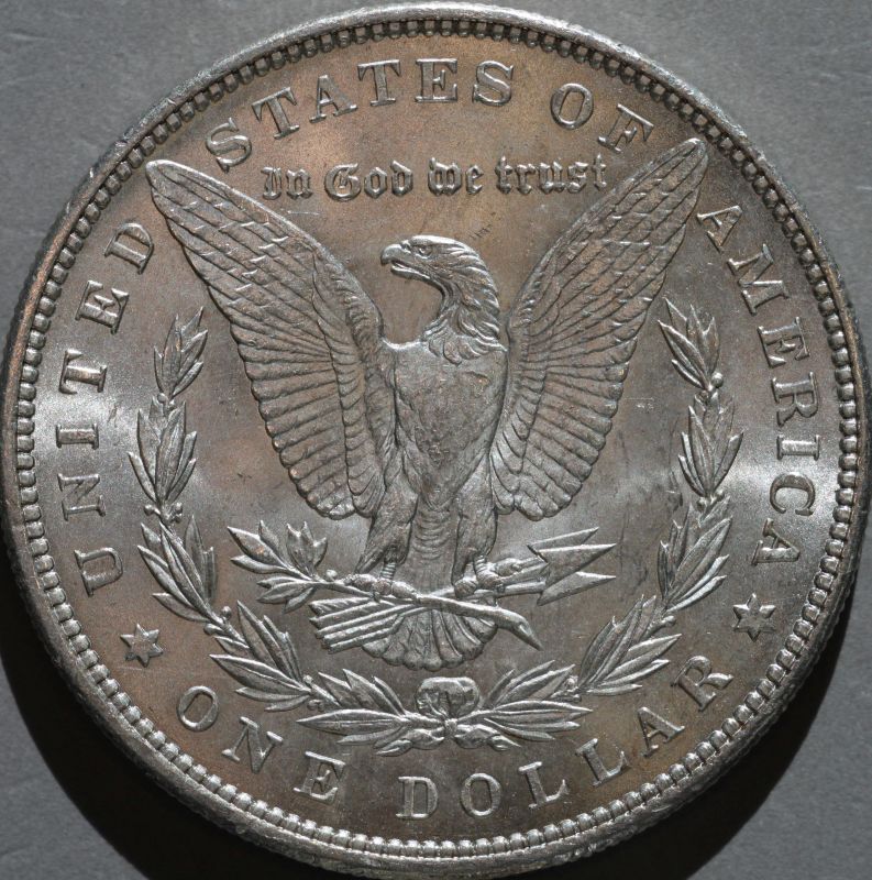 1900-Morgan-Up-For-Grading