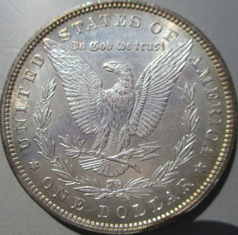 1879-Morgan-Up-For-Grading