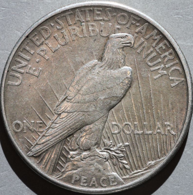 1921-Peace-Dollar-Up-For-Grading