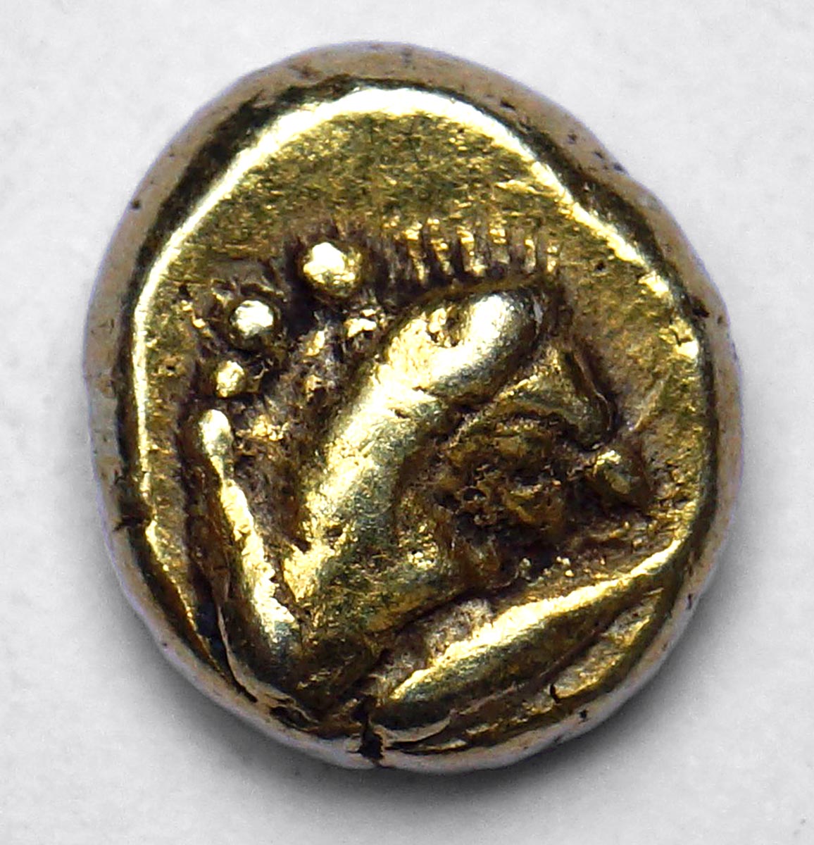 Myisa-Kyzikos--2-Coins