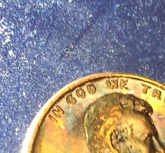 Another-1969-S--MD-Or-DD