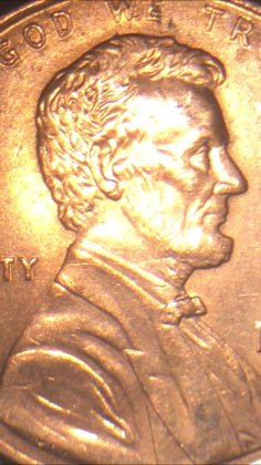 Is-This-Considered-A-Double-Ear?
