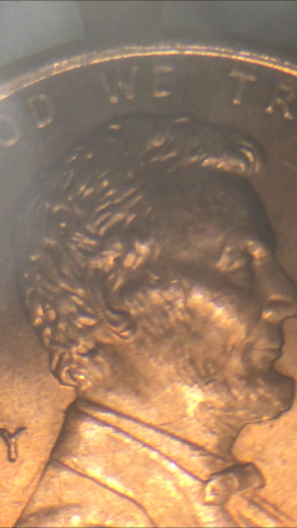 Is-This-Considered-A-Double-Ear?