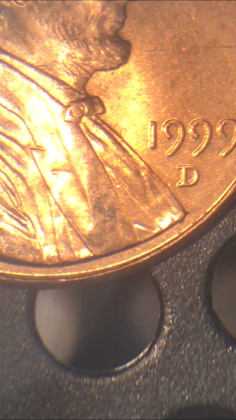 Is-This-Considered-A-Double-Ear?