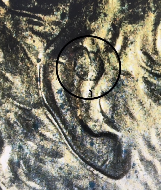 1982-LMC-Strange-Raised-Circles-On-Obverse