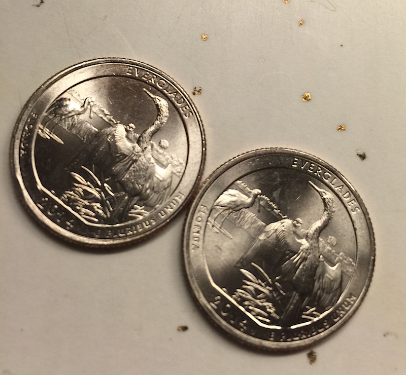 2014-P-Everglades-Quarter,-Possible-Error...