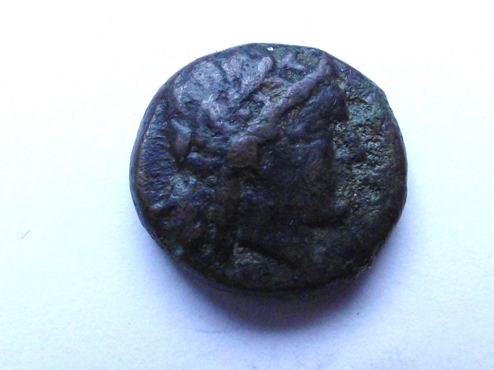 Ancient-Coin-Depicting-A-Lyre?