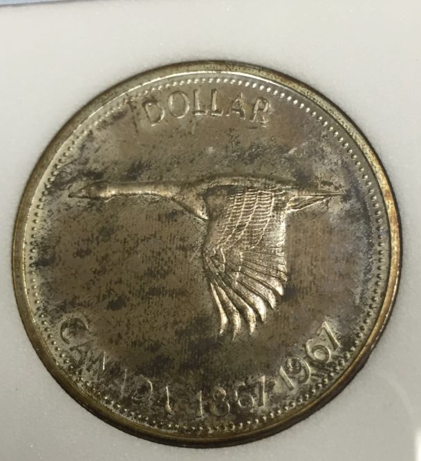 You-Vs.-NNC:-1967-Silver-Dollar