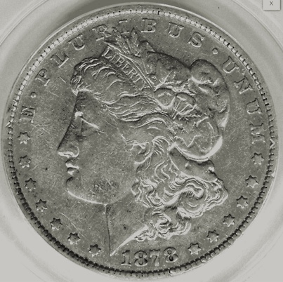 Please-Correct-Me,-Is-This-228-1-1878-Morgan-Saf