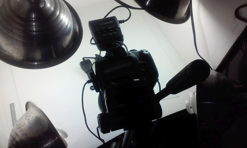 Macro-Light-Ring?