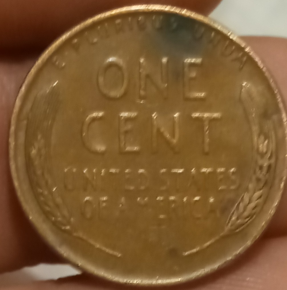 1955-D-Wheat-Penny-Atleast-Looks-Like-D-Is-DD