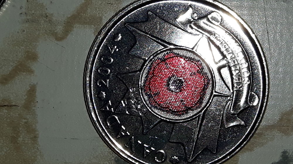 2004-Poppy-Quarter-Error-Or-Fake