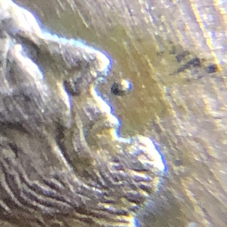 Orb-On-A-1995-Lincoln-Penny.