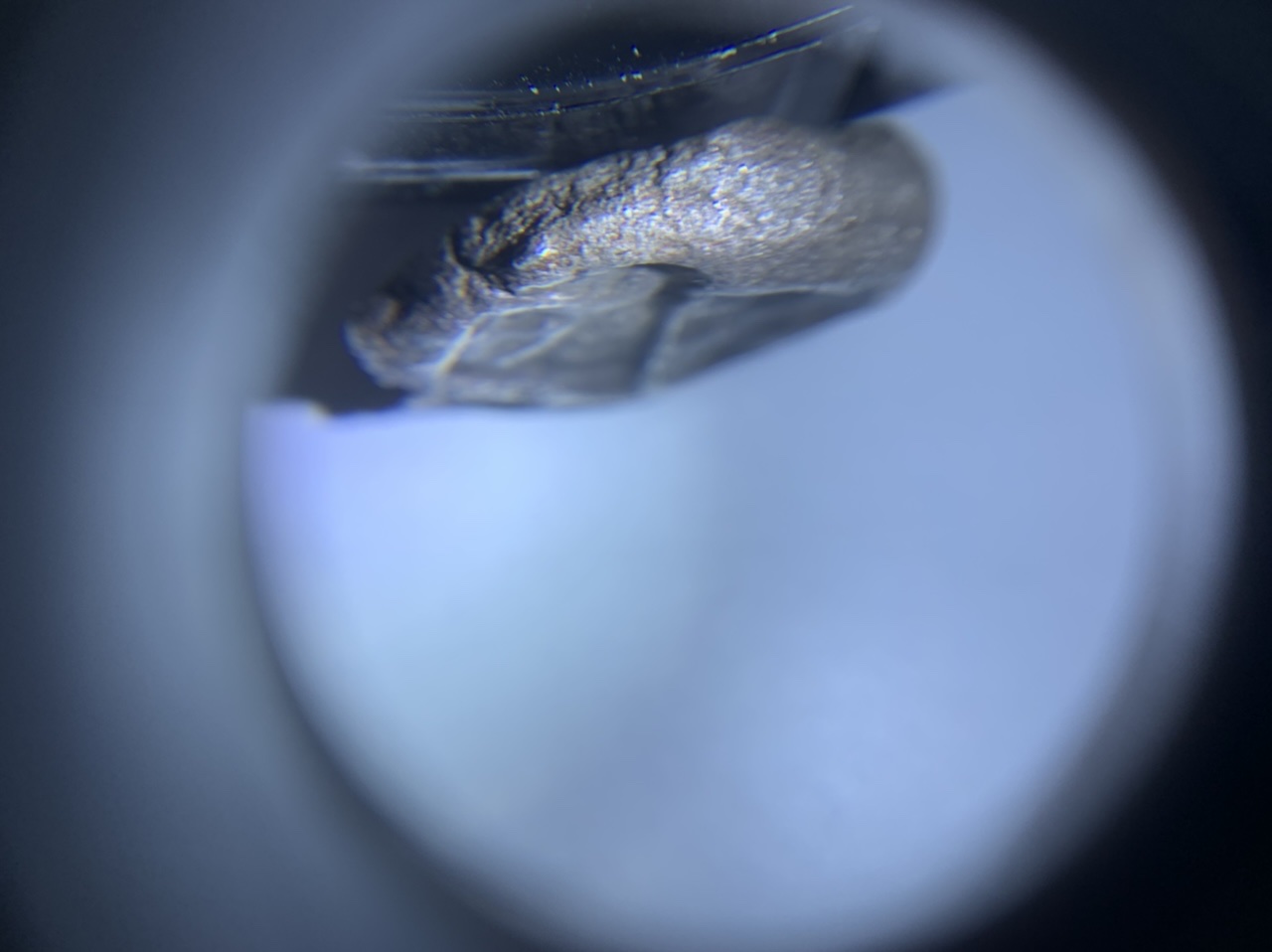 Half-Lydian-Stater,-Authentic-Or-Not?