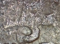 The-Letter-�s�-In-Mid-Medieval-European-Coinage-9th-To-12th-Century