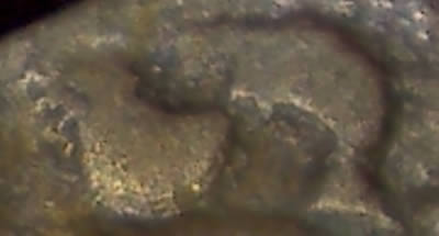 The-Letter-�s�-In-Mid-Medieval-European-Coinage-9th-To-12th-Century