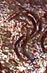 The-Letter-�s�-In-Mid-Medieval-European-Coinage-9th-To-12th-Century