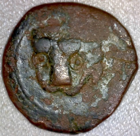 Post-Your-Lion-Coins!