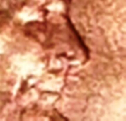 1990-D-LMC-Abnormal-Penny?