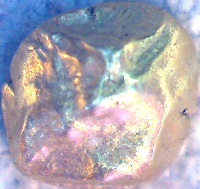 Yet-Another-Forum-Game---Numismatic-Go-Fish!