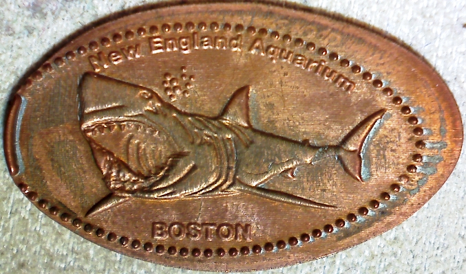 Elongated-Coins/Pennies