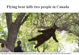 My-Favorite-Listing-Of-The-Day---Scythian-Flying-Bear