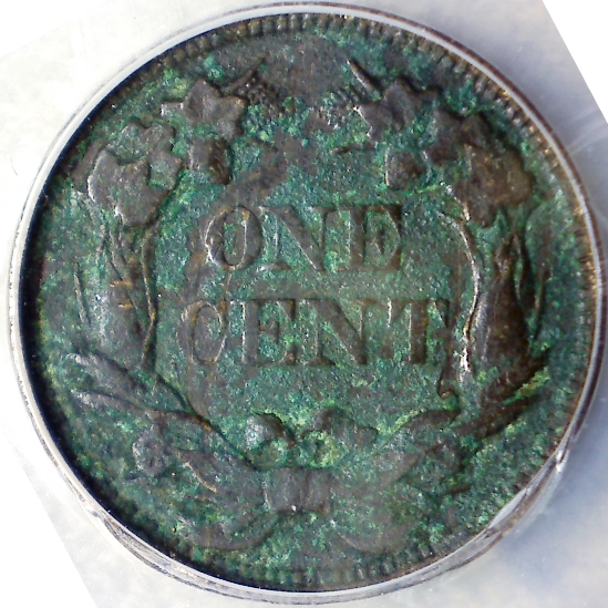 Yet-Another-Forum-Game---Numismatic-Go-Fish!