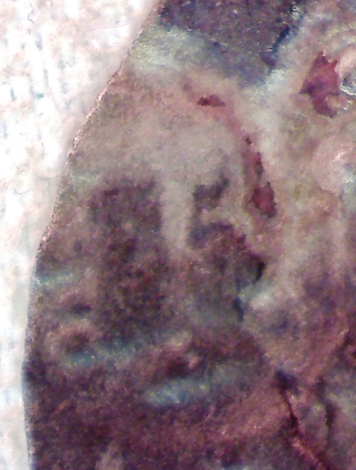 Walking-Back-In-Time-From-1600-To-Antiquity-By-Decades-V3.0