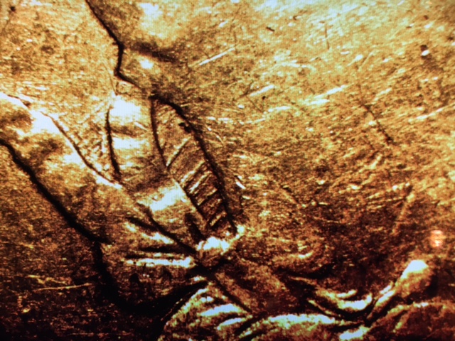 1872.-Quarter--Bars-In-Neck-S-Bow.-Reverse