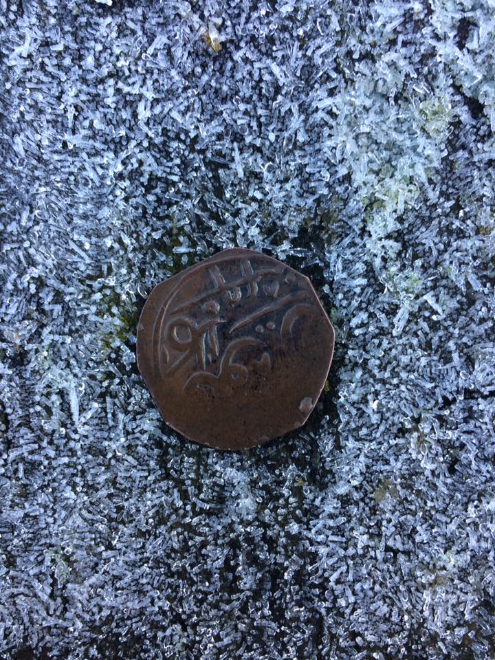 Found-On-A-Frosty-Morning