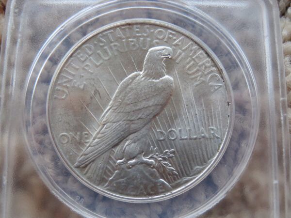 You-Vs-ANACS-On-This-1925-P-Peace-Dollar